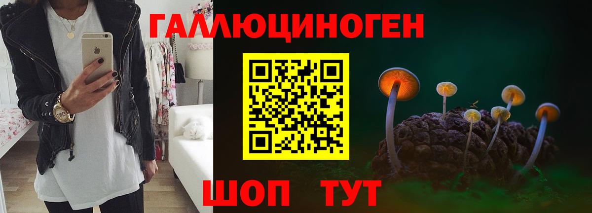 Кыштым  Галлюциногенные грибы мицелий  Вход с VPN 